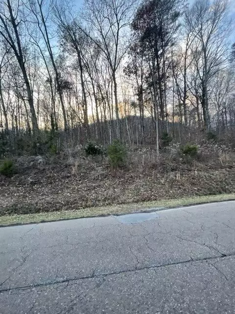 Dunlap, TN 37327,971 Tram TRL