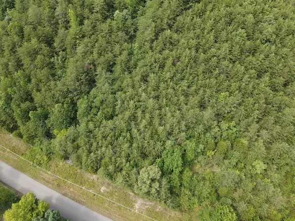 Dunlap, TN 37327,32 John Burch RD