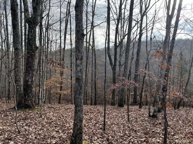 21.64 Acre Co Rd 188, Decatur, TN 37322