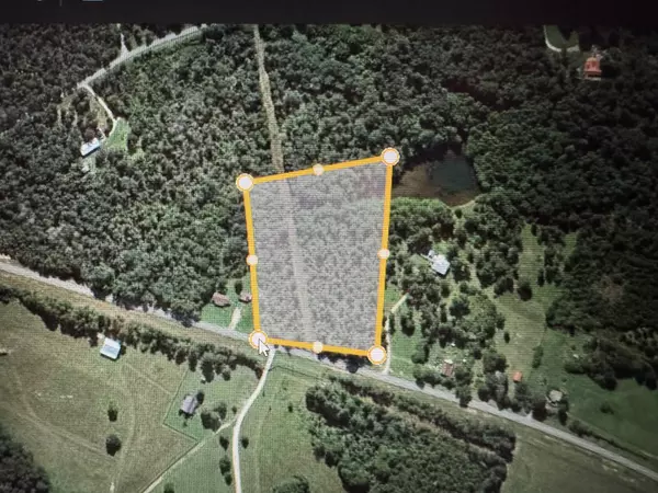 Cloudland, GA 30731,0 Highway 157