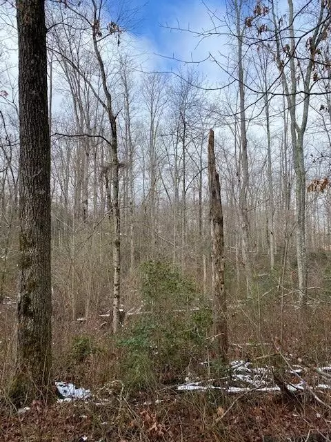 Gruetli Laager, TN 37339,20.69 Colony Road