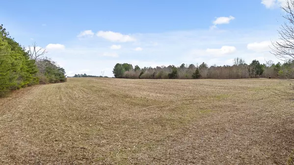 Pisgah, AL 35765,38 Acres County Road 127