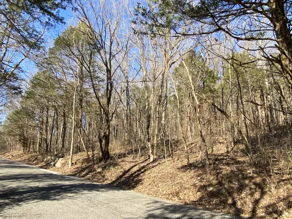 0 Lowes Gap RD, Pikeville, TN 37367