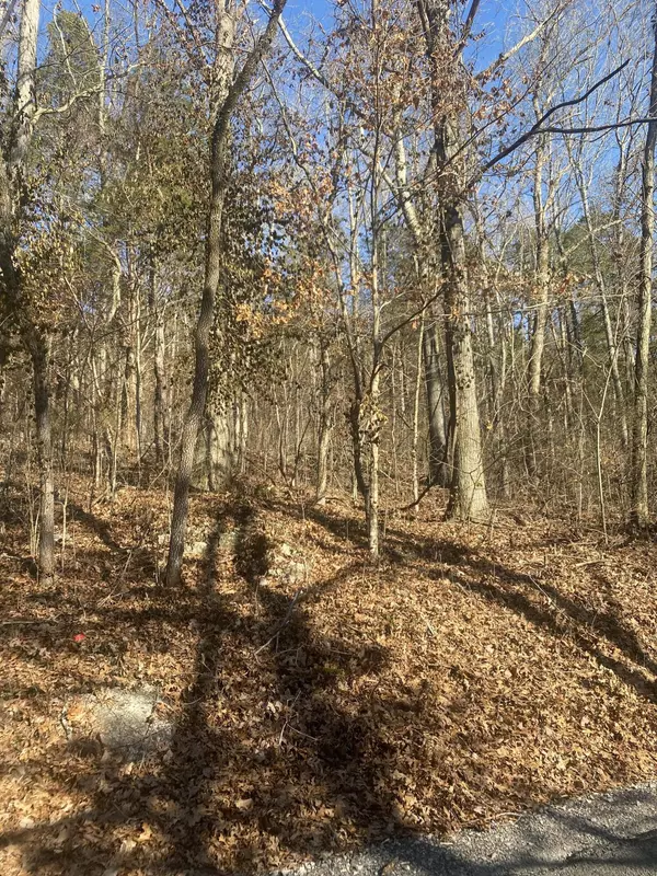 Pikeville, TN 37367,0 Lowes Gap RD