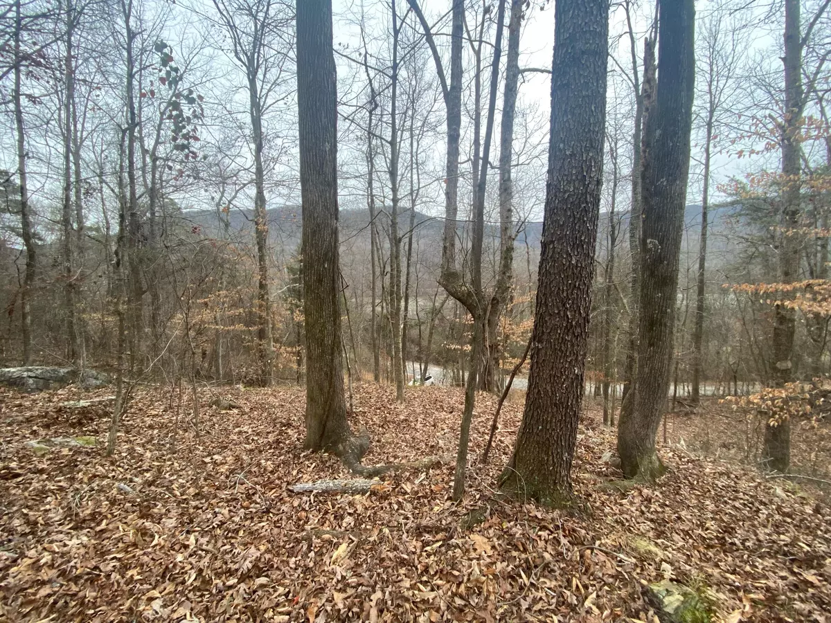 Whitwell, TN 37397,0 Mullins Cove RD