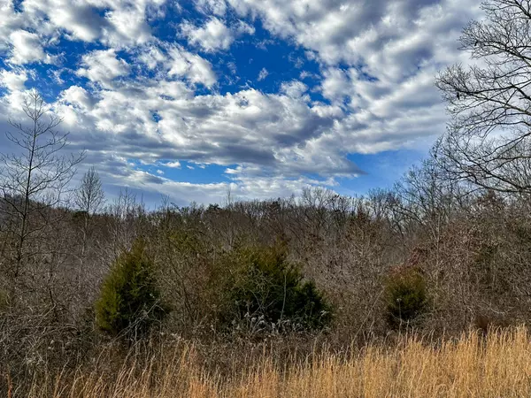 New Market, TN 37820,0 Pinto Ridge DR