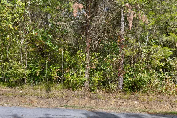 Trenton, GA 30752,0 5th ST