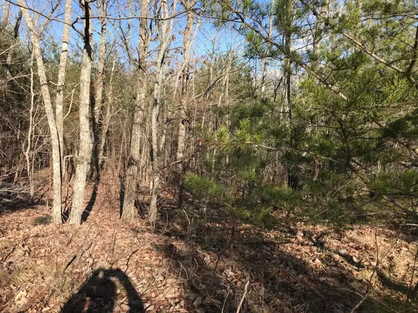 Dunlap, TN 37327,21 Cowpen LN