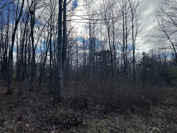 Palmer, TN 37365,5 Palmer Firetower Road