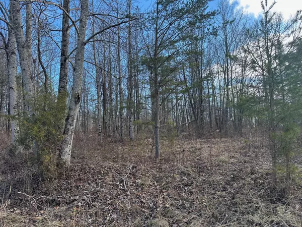 Palmer, TN 37365,5 Palmer Firetower Road