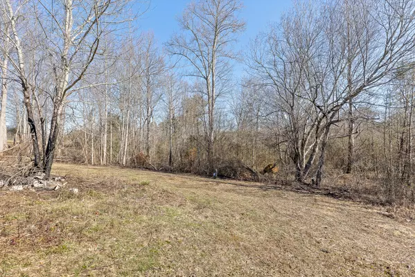 Ider, AL 35981,Tract B County Road 784