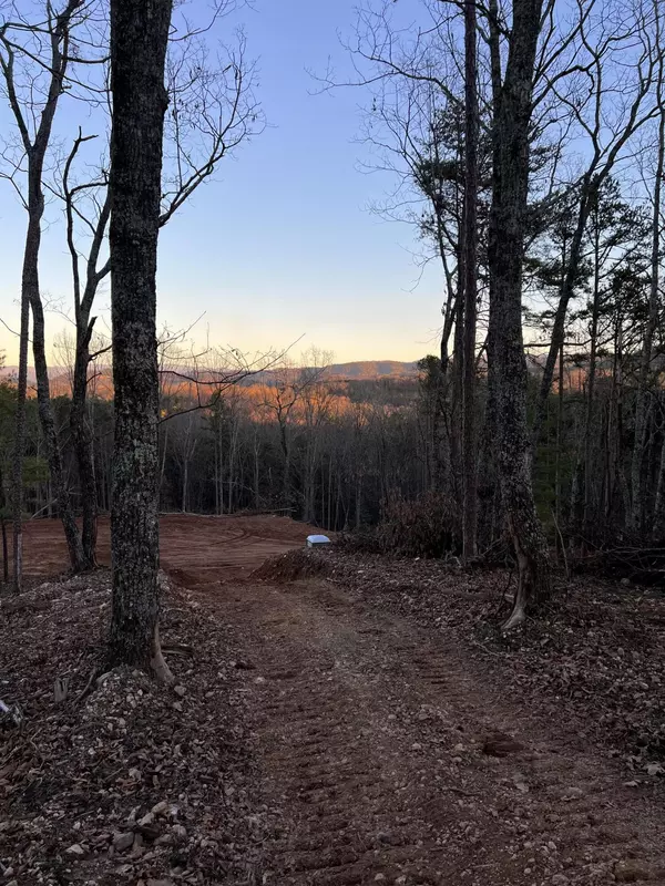 368 Beatys Chapel RD, Tellico Plains, TN 37385