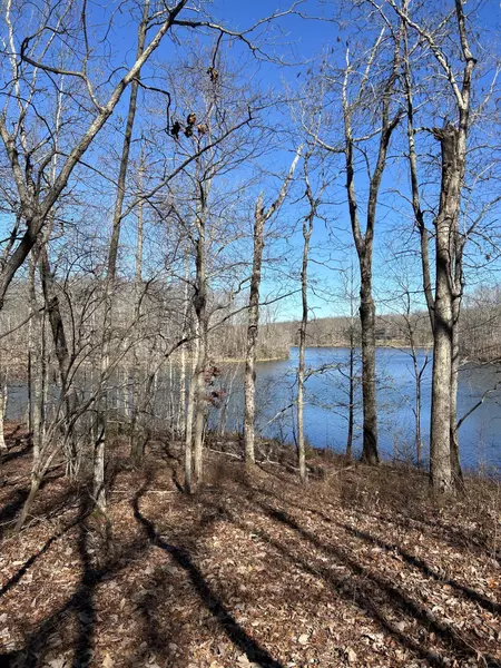 Lot 163 Lake Louisa Loop, Sewanee, TN 37375