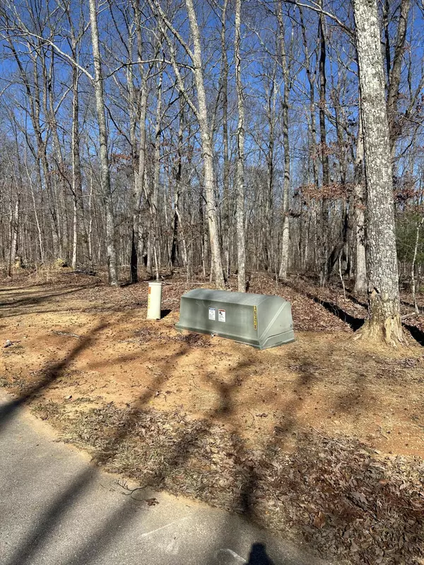 Sewanee, TN 37375,Lot 163 Lake Louisa Loop