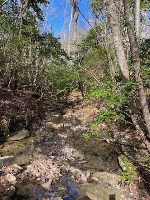 Crossville, TN 38572,Lot 1 Thomas Springs Road