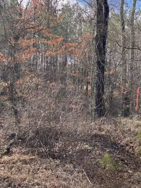 Crossville, TN 38572,Lot 1 Thomas Springs Road