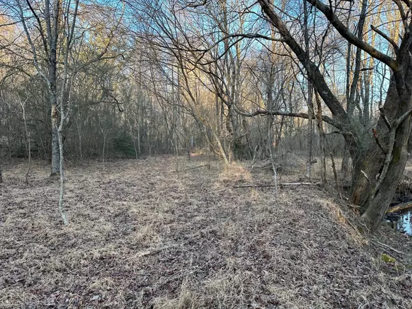 Tracy City, TN 37387,Tract 5 Newt Meeks Road