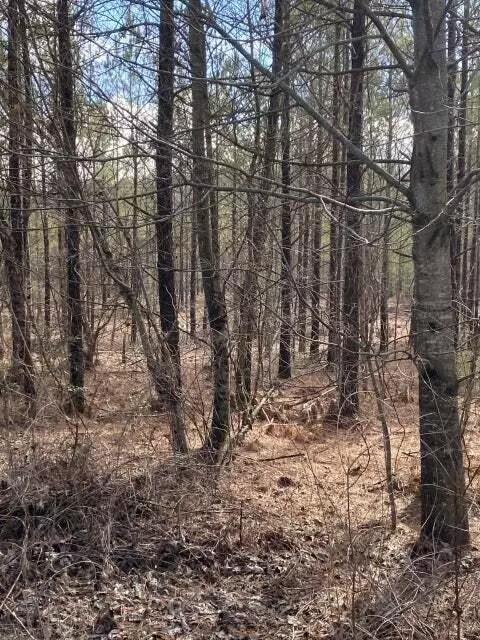 Crossville, TN 38572,Lot 8 Thomas Springs Road