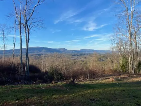 Lot 1a Chestnut Mountain RD, Reliance, TN 37369