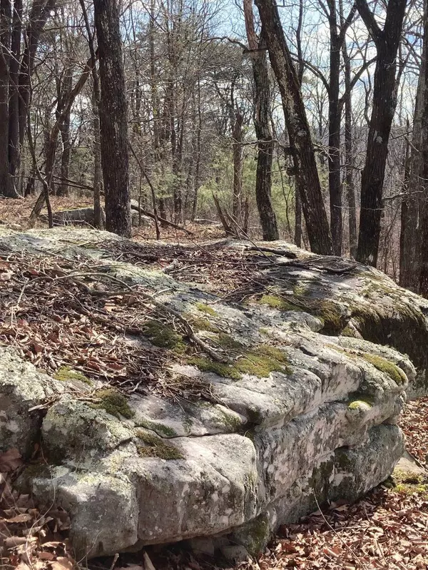 Signal Mountain, TN 37377,0 Grandview RD