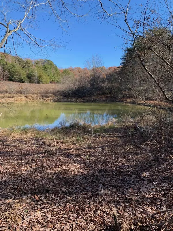 Bryant, AL 35958,0 Al Hwy 73