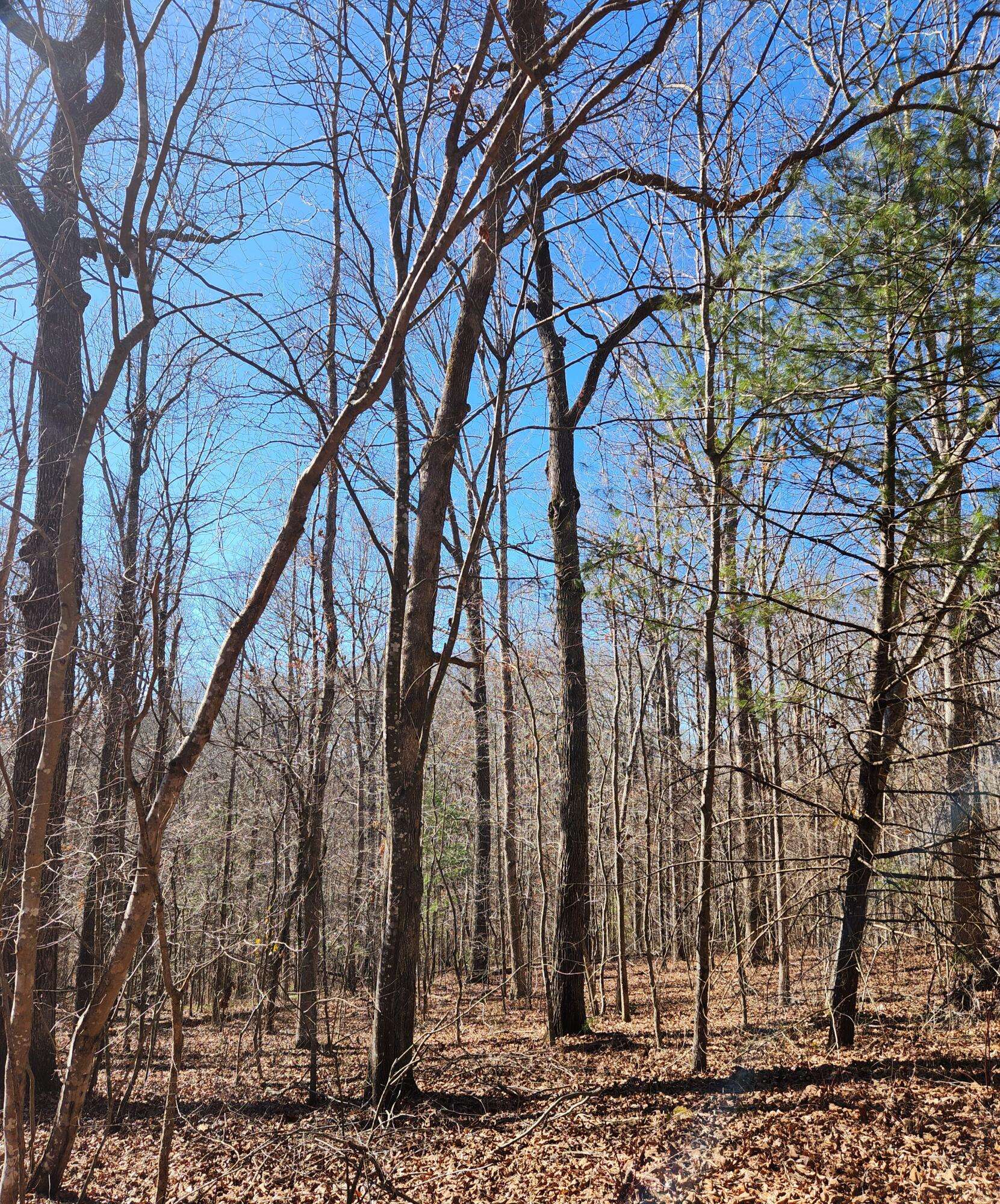 Crossville, TN 38558,20 Devon LOOP