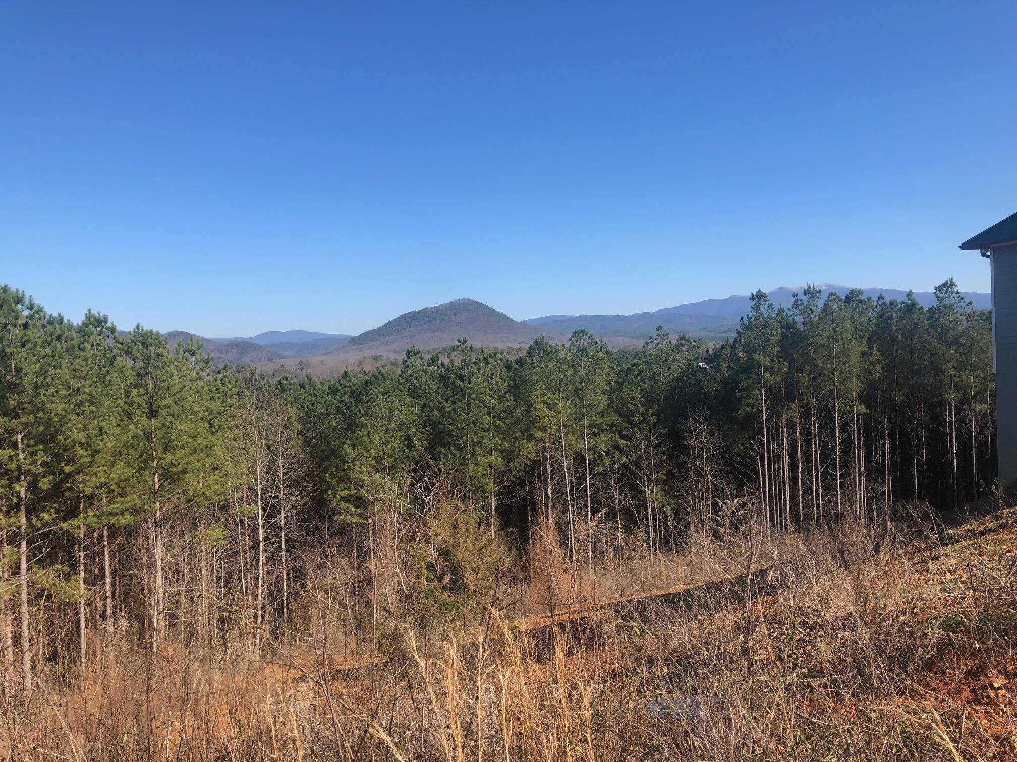 Ocoee, TN 37361,147 Cherokee Ridge DR