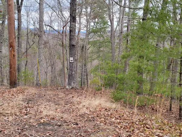 Ranger, GA 30734,968 Raccoon Ridge RD