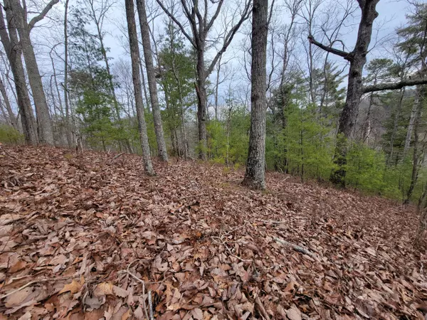 Ranger, GA 30734,968 Raccoon Ridge RD