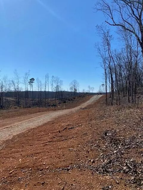 Decatur, TN 37322,Tract 8 River Road