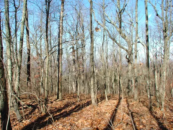 Cloudland, GA 30731,51 Challenger WAY