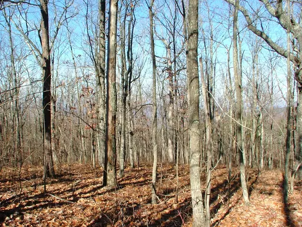 Cloudland, GA 30731,51 Challenger WAY