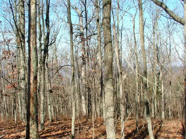 Cloudland, GA 30731,51 Challenger WAY