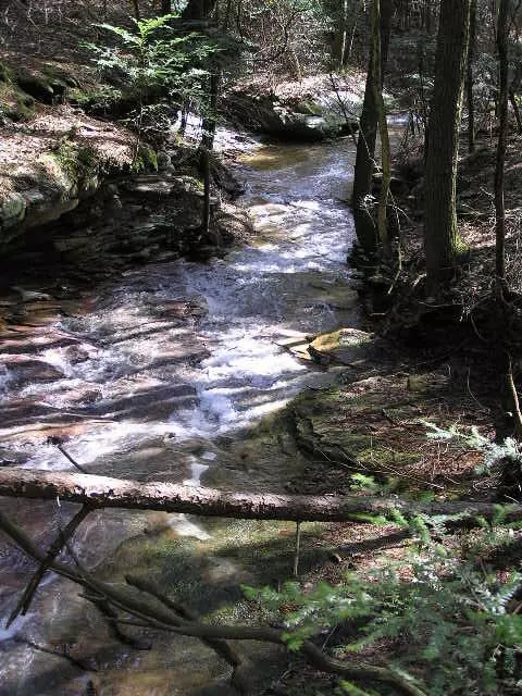 Graysville, TN 37338,9 Red Rock Canyon RD