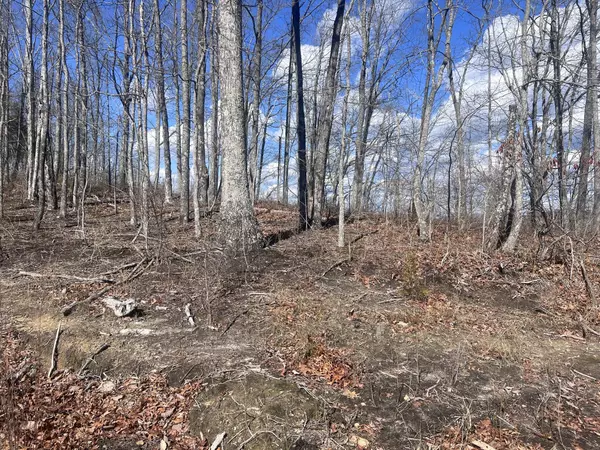 New Hope, TN 37380,0 Salolee LN