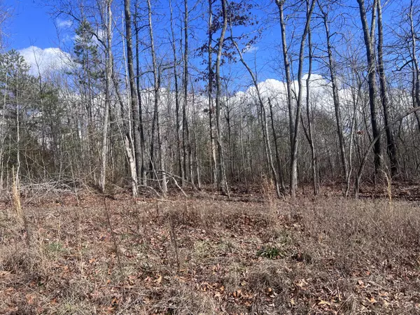 New Hope, TN 37380,0 Kyuga DR