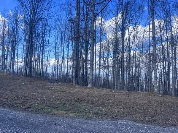 New Hope, TN 37380,0 Salolee West LN