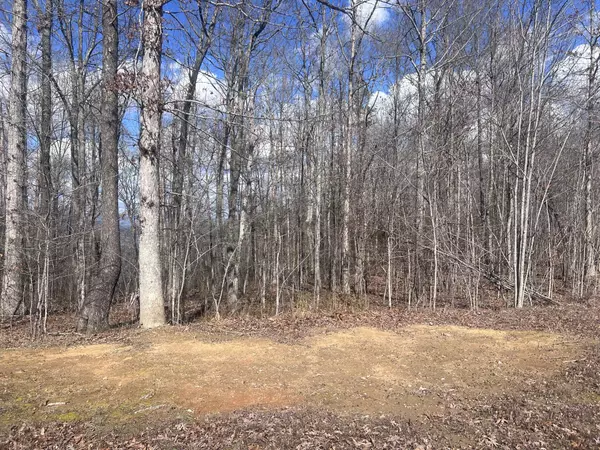 New Hope, TN 37380,0 Salolee West LN