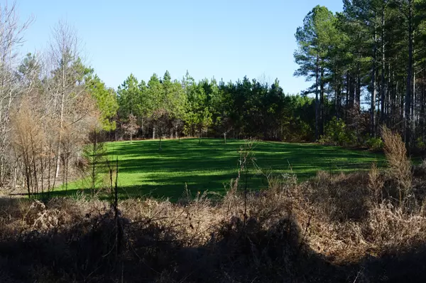 Big Sandy, TN 38221,0 Danville RD