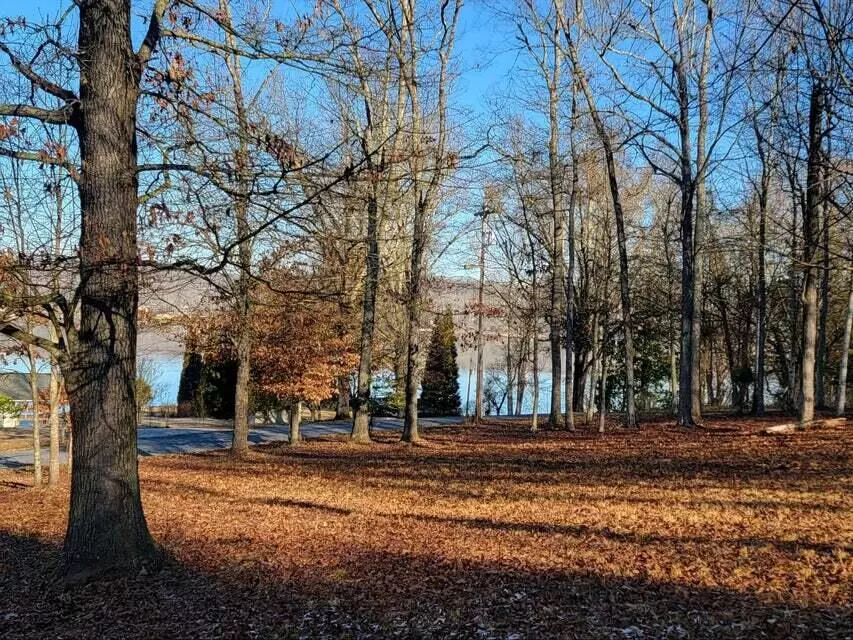 Spring City, TN 37381,000 Torbett RD