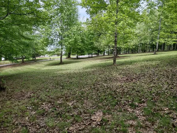 Spring City, TN 37381,000 Torbett RD