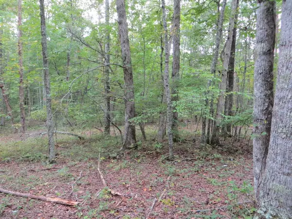 Pikeville, TN 37367,00 Sinclair LN