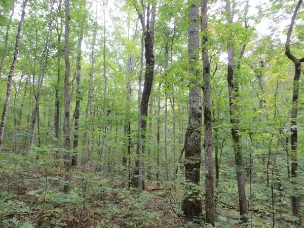 Pikeville, TN 37367,00 Sinclair LN