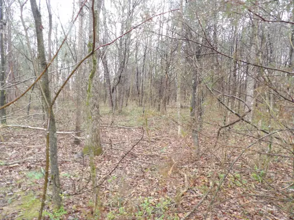 Pikeville, TN 37367,01 Rockfort RD