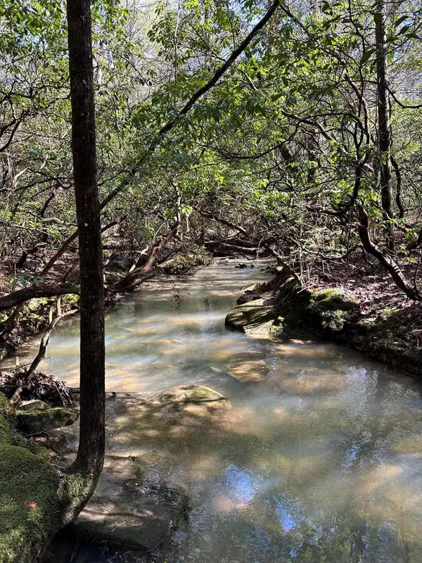 Tract 15 Thomas Springs Road, Crossville, TN 38572