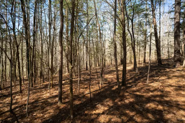 Georgetown, TN 37336,0 Anderson Acres DR