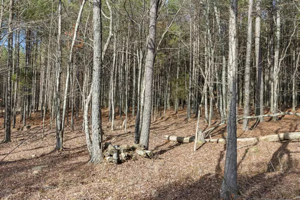 Jasper, TN 37347,0 Raulston Falls RD