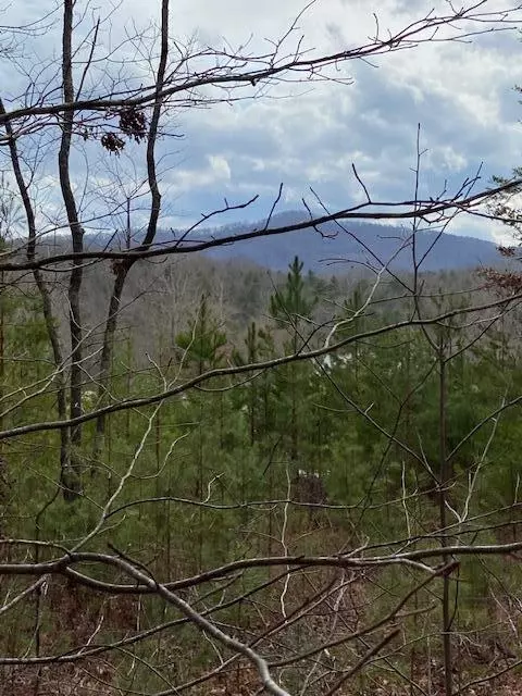 Turtletown, TN 37391,137 Rocky Ford RD