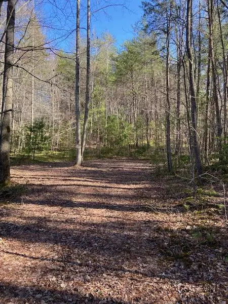 137 Rocky Ford RD, Turtletown, TN 37391