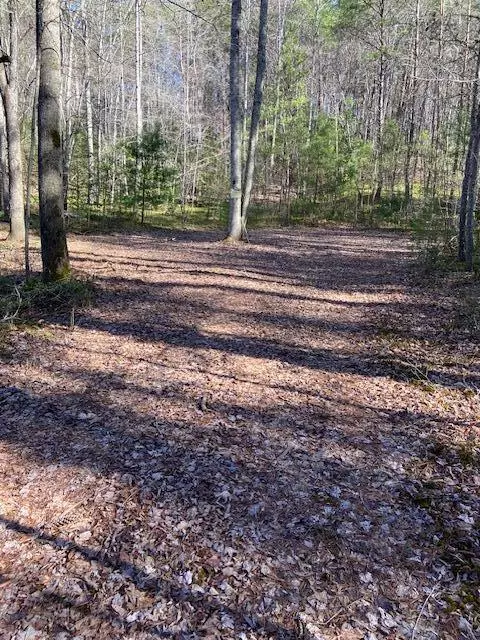 Turtletown, TN 37391,137 Rocky Ford RD